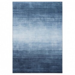 Vaip Laury Blue 200x300 cm
