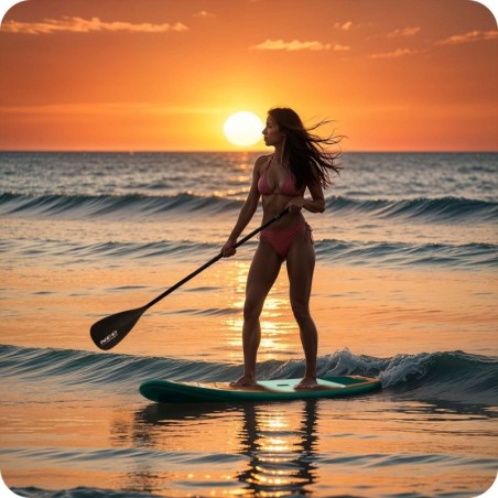 2in1 aer SUP-lauale | FreshDesign.ee