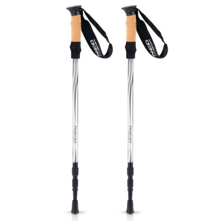 Matkakepid käimiskepid