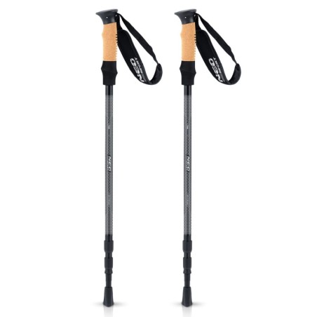 Matkakepid käimiskepid