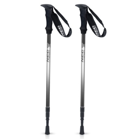 Matkakepid käimiskepid