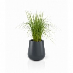 Disain lillepott MONUMO LAGO 50cm antratsiit