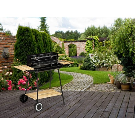 Söega aiagrill riiulitega, reguleeritav, 2 resti