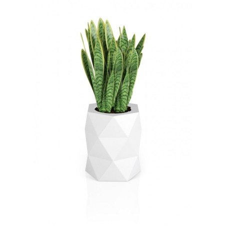 Disain lillepott MONUMO MODENA Valge | FreshDesign.ee