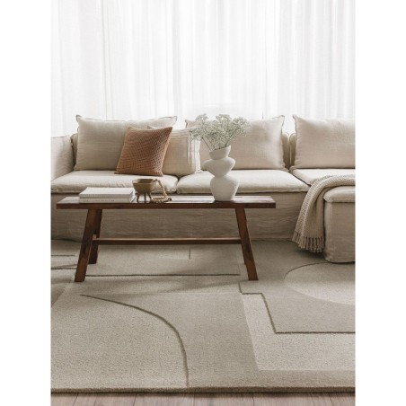 Villane vaip Logan Helehall 160x230 cm