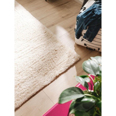 Shaggy vaip Ricky Cream 160x230 cm | FreshDesign.ee