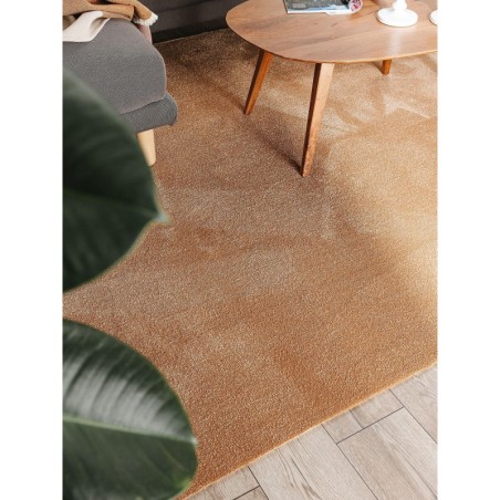 Pestav vaip Paola Brown 200x290 cm | FreshDesign.ee