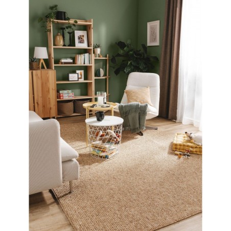 Pestav vaip Enzo Helepruun 200x290 cm