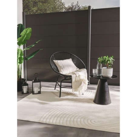 Sise- ja välisvaip vaip Taro Cream 200x290 cm