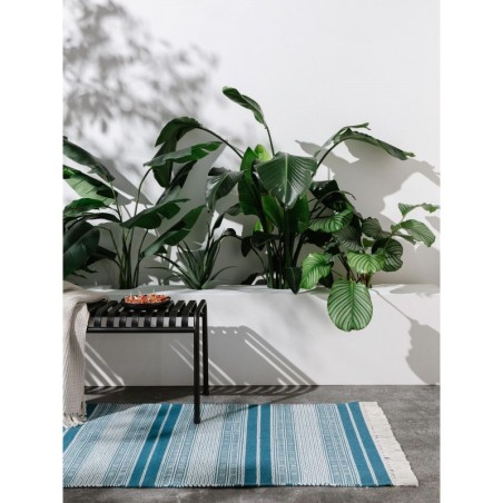 Sise- ja välisvaip Runner Siena Bensiin 80x250 cm