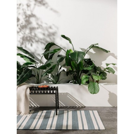 Sise- ja välisvaip Runner Rida Beež/sinine 80x250 cm