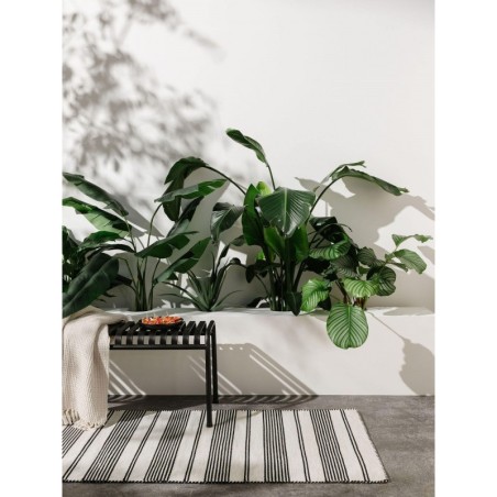 Sise- ja välisvaip Runner Rida Beež/must 70x200 cm
