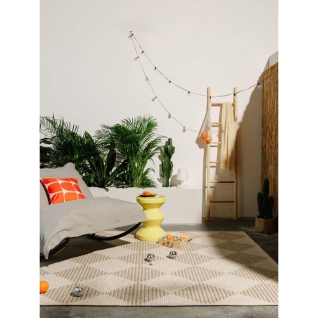 Sise- ja välisvaip Lex Beež 200x290 cm