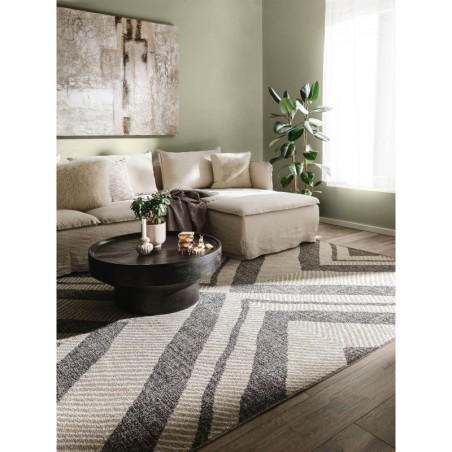 Madal vaip Elena Beež/pruun 200x290 cm