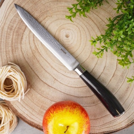 DAMASCUS terasest kööginuga 27 cm