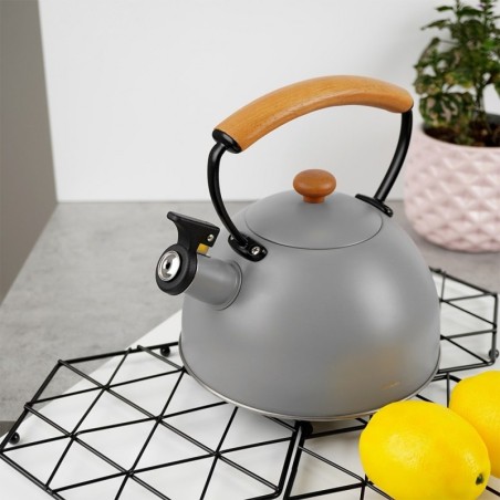 Veekeetja vilega, teras, hall, PUIT, 2,9 l