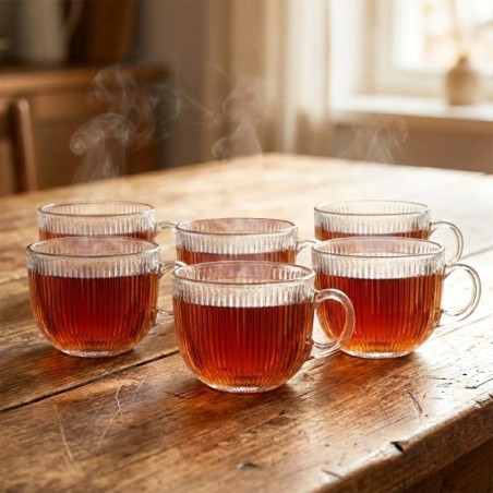 Kohvi- ja teeklaasid 470 ml 6 tk.