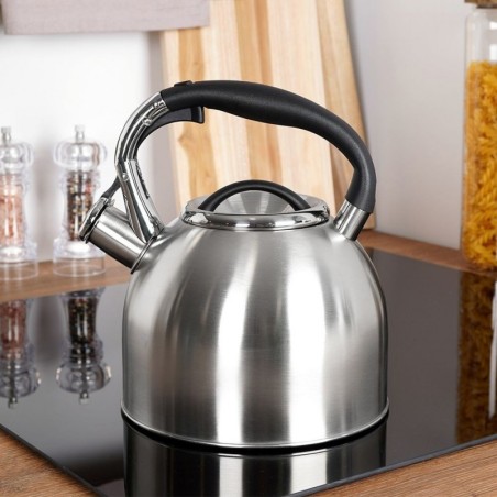 Veekeetja vilega, teras, hõbe, 2 l