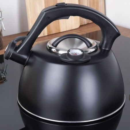 Veekeetja, teras, must, termomeetriga, 3 l