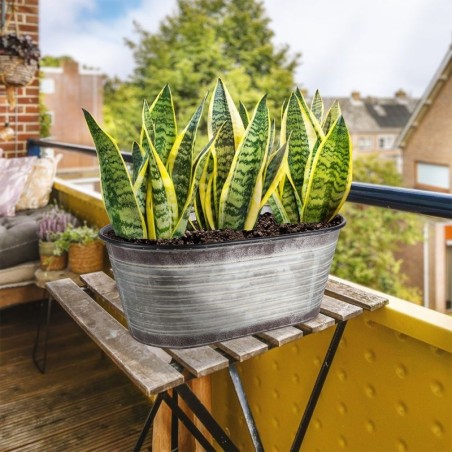 Metallist lillepoti kate 46x25x18,5 cm