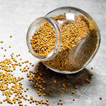 Säilituspurk klaas 3 l