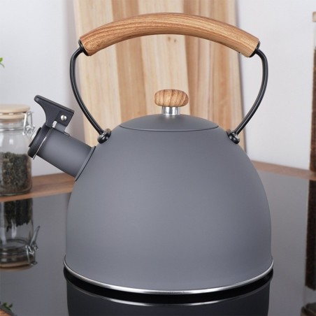 Veekeetja vilega, teras, hall, 2,5 l