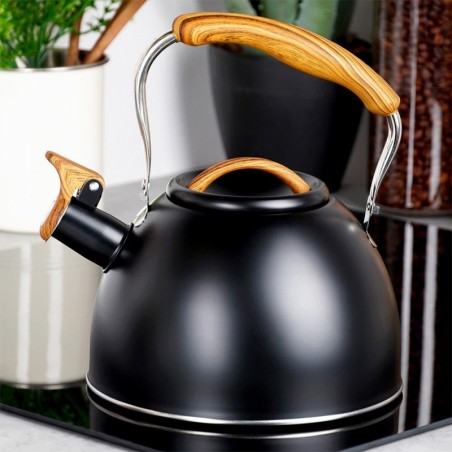 Veekeetja vilega, teras, must, 2,5 l