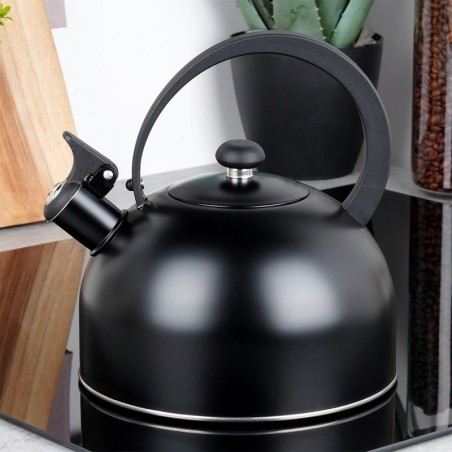 Veekeetja vilega, teras, must, 3 l