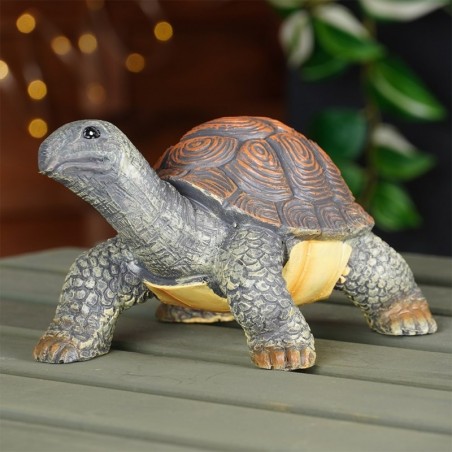 Aiakujuke kilpkonn 21x12 cm