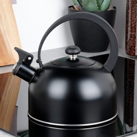 Veekeetja vilega, teras, must, 2 l