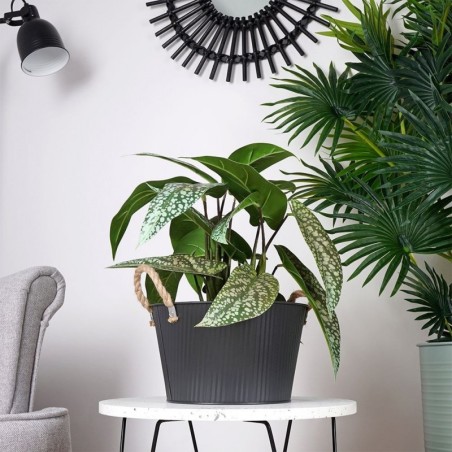 Metallist lillepoti kate must 25x15 cm | FreshDesign.ee