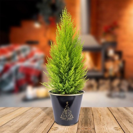 Metallist lillepoti kate must 23x20 cm | FreshDesign.ee