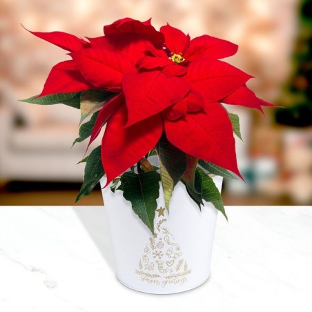 Metallist lillepoti kate, valge, 20,5x18 cm