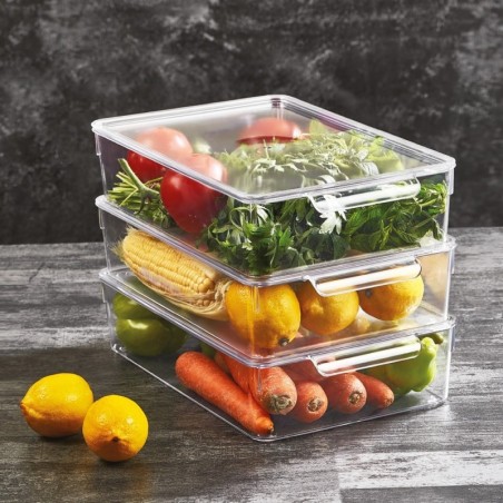 Kaanega külmkapi organiseerija 32,5x20x7,5 cm