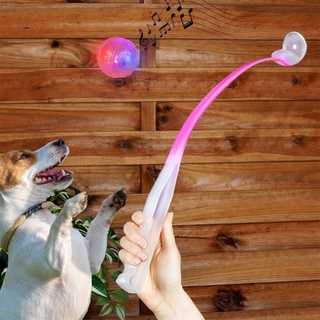 Koera palliviskaja 68 cm