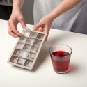 Silikoonist jääkuubikuvorm suured kuubikud... | FreshDesign.ee