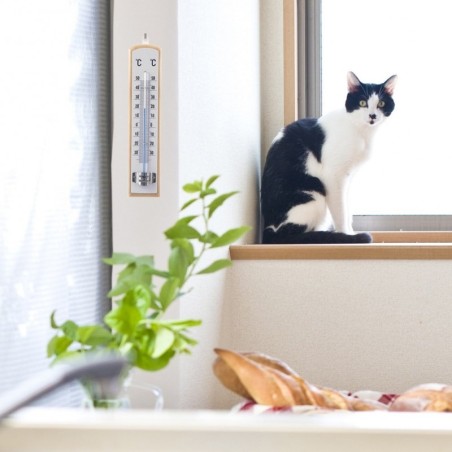 Puidust universaalne termomeeter 21 cm