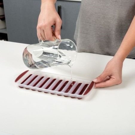 TERRESTRIAL silikoonist jääkuubikuvorm 30x11,5 cm