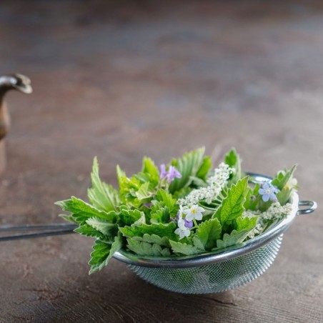 Terasest köögisõel 12 cm