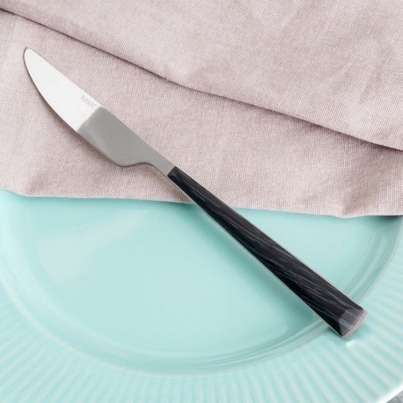 Terasest lauanuga ARYA