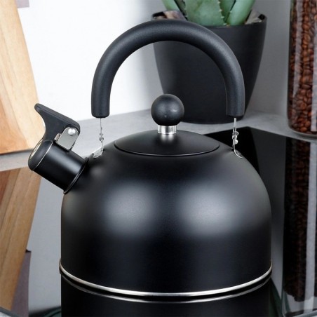 Vilega veekeetja, teras, must 2 liitrit