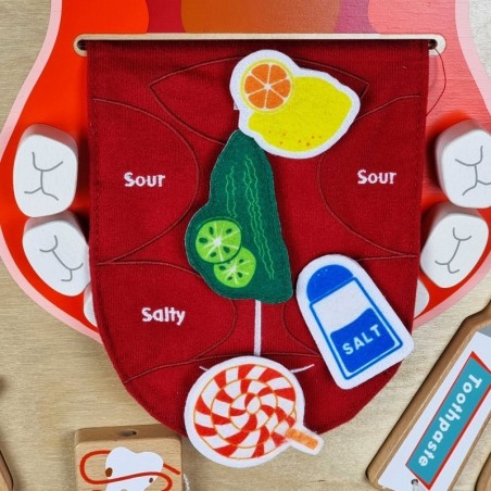 Suuhügieeni õppetahvel puidust, Masterkidz | FreshDesign.ee