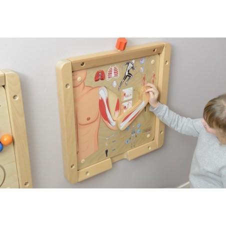 MASTERKIDZ Montessori lihasluukonna õppetahvel | FreshDesign.ee