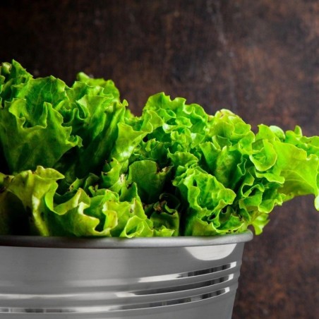 Roostevabast terasest toiduämber 14 liitrit | FreshDesign.ee