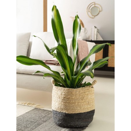 Basket Aylin kreem/hall 30x30x30 cm