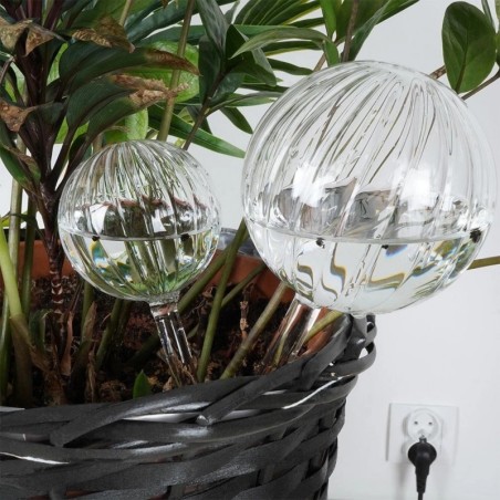 Kastmispallid taimedele, klaas, 2 tk.