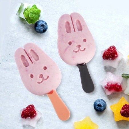 Kaanega jäätisevorm