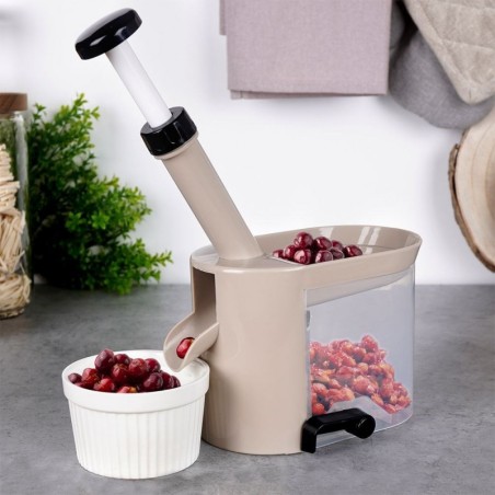 Kirsikivide eemaldaja MISTY 20x10x22 cm | FreshDesign.ee