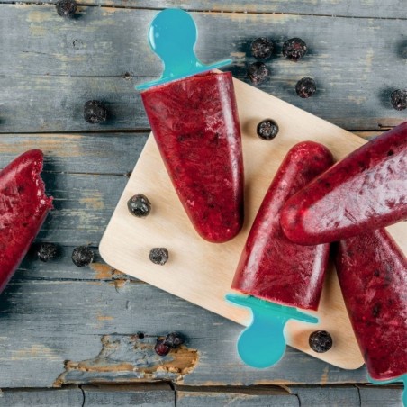 Jäätise või mahlapulkade vormid | FreshDesign.ee