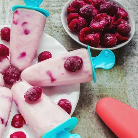 Jäätise või mahlapulkade vormid | FreshDesign.ee